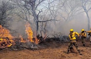 AFIP instrumenta medidas de alivio para zonas afectadas por incendios forestales - Télam