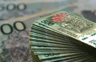 Flexibilizaron los requisitos para que más monotributistas accedan a créditos a tasa cero - Télam