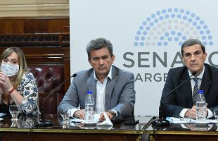 El Senado aprobó en comisión las modificaciones del Impuesto a los Bienes Personales