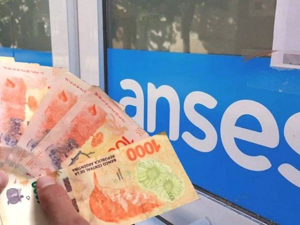 Créditos ANSES.