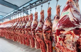 La Aduana suspendió a otro frigorífico por subfacturar ventas