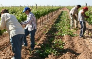 5 claves del nuevo régimen de inclusión y promoción del trabajo independiente