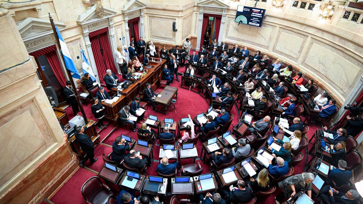 Foto Senado Argentina