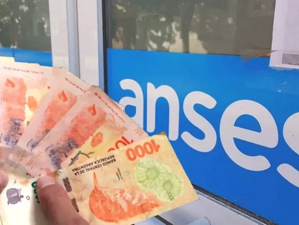 Créditos ANSES.