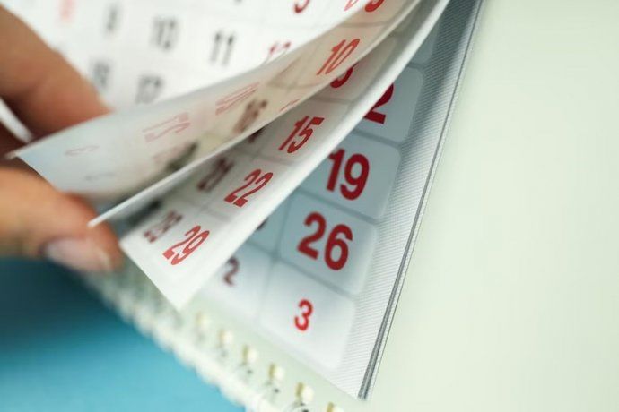 Calendario AFIP para enero 2024