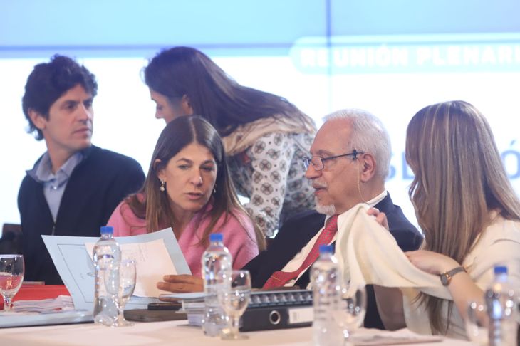 Martín Lousteau y Guadalupe Tagliaferri, dos de los senadores de la oposición no peronista que no acuerda con la totalidad de la ley.