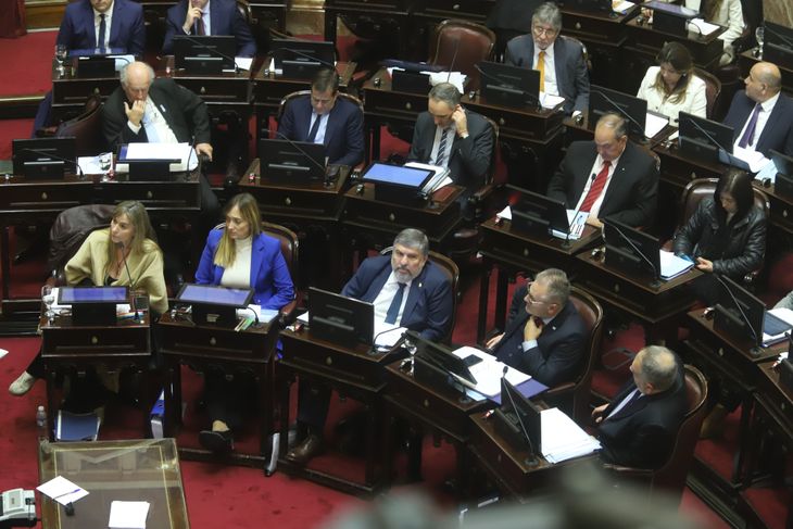 Bloque de Unión por la Patria, en el cierre de la sesión en el Senado.