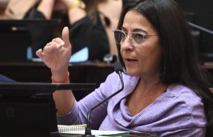 Una cosa es ver el RIGI desde la región pampeana y otra distinta es verlo desde el NOA