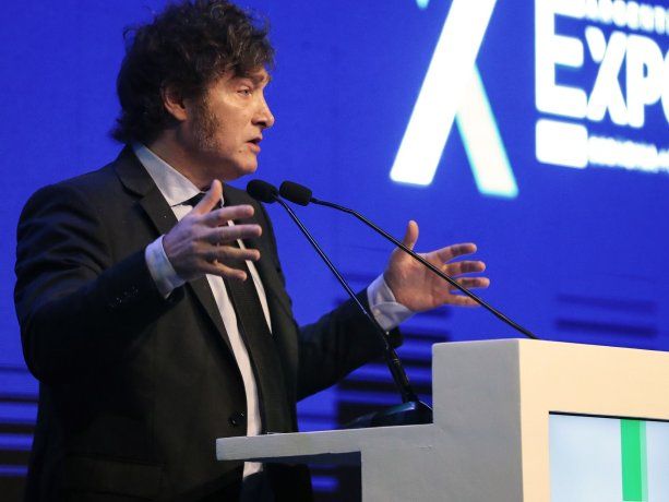 El oficialismo busca aprobar la ley Bases tras las modificaciones del Senado. 