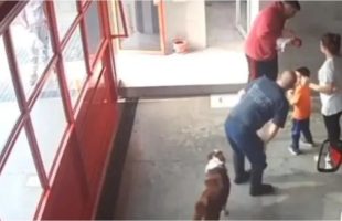 Un bombero que le salvó la vida a una beba en Temperley se recibió de médico