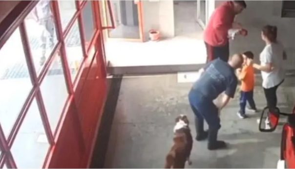 Un bombero que le salvó la vida a una beba en Temperley se recibió de médico