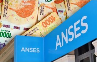 cómo realizar el trámite en ANSES y cuánto tarda en octubre 2024