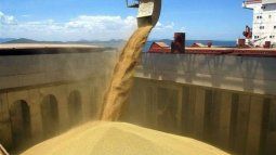 La rebaja temporal de derechos de exportación no alcanza